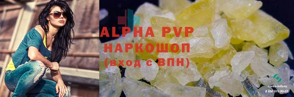 гашик Надым
