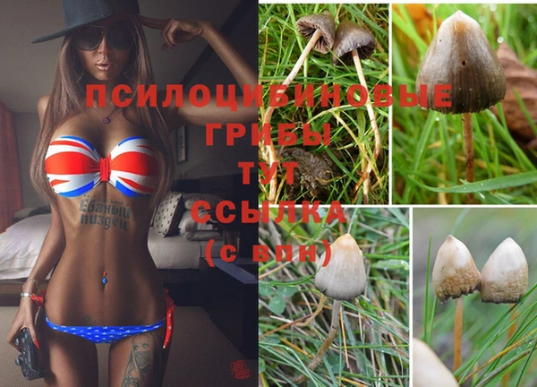 кокаин перу Алексин
