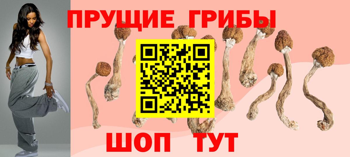 Галлюциногенные грибы мицелий Тихвин